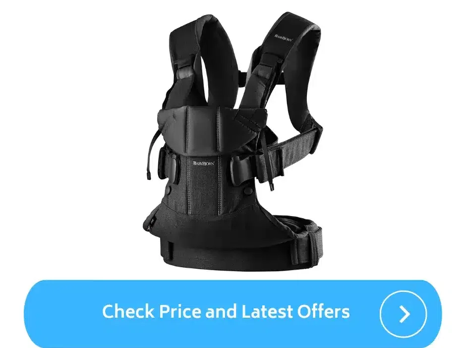 Best Baby Carrier for Back Pain